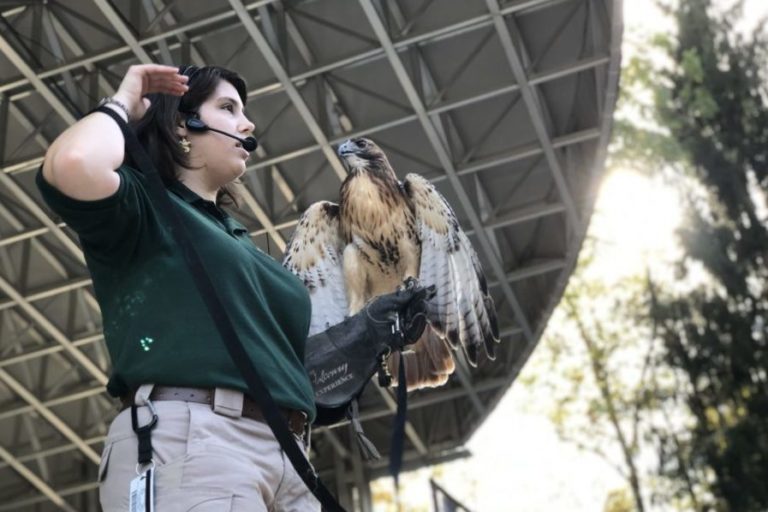 Home Ned Smith Center For Nature and Art