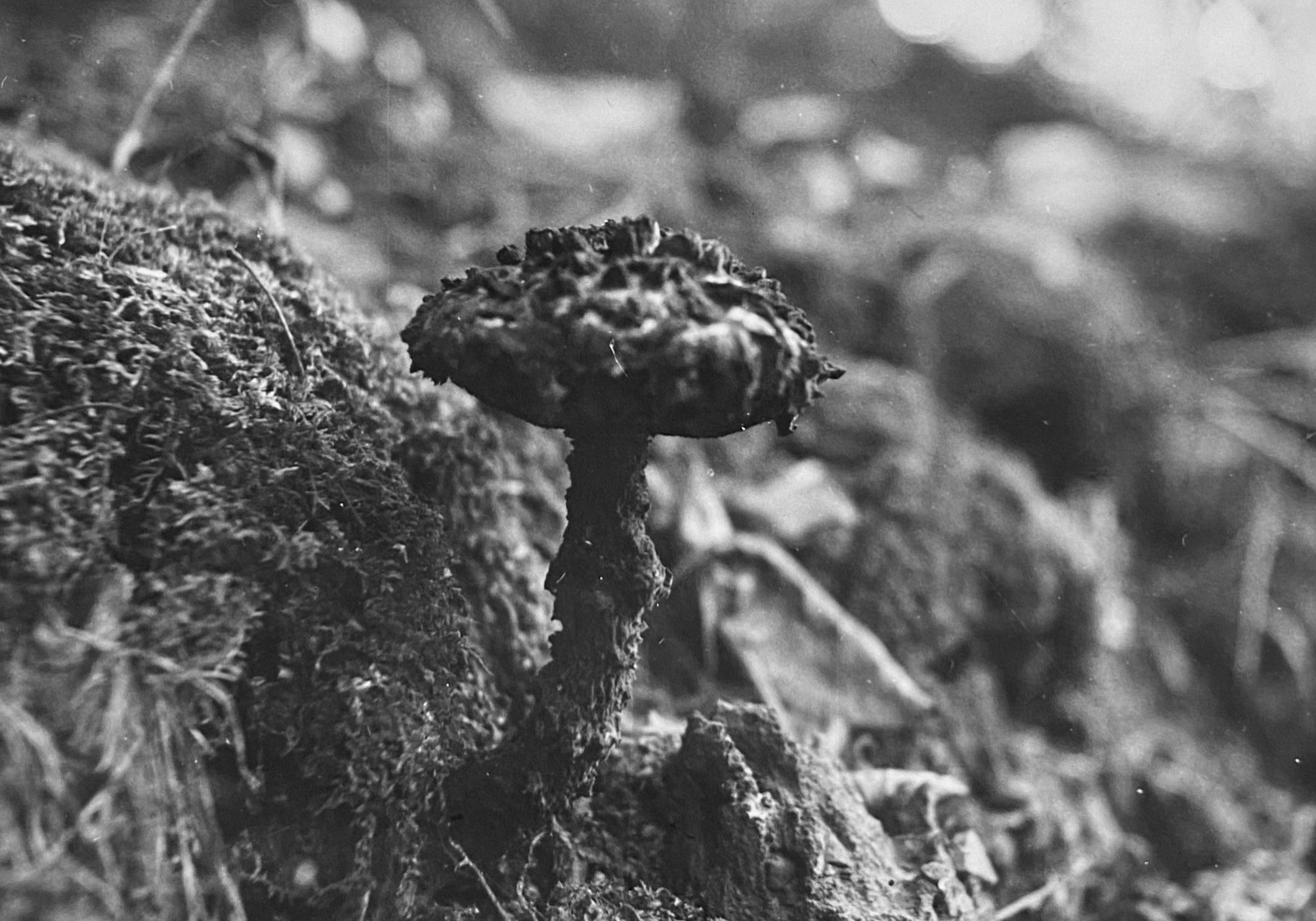 605630725_1363550209117262_3191329330404772237_n