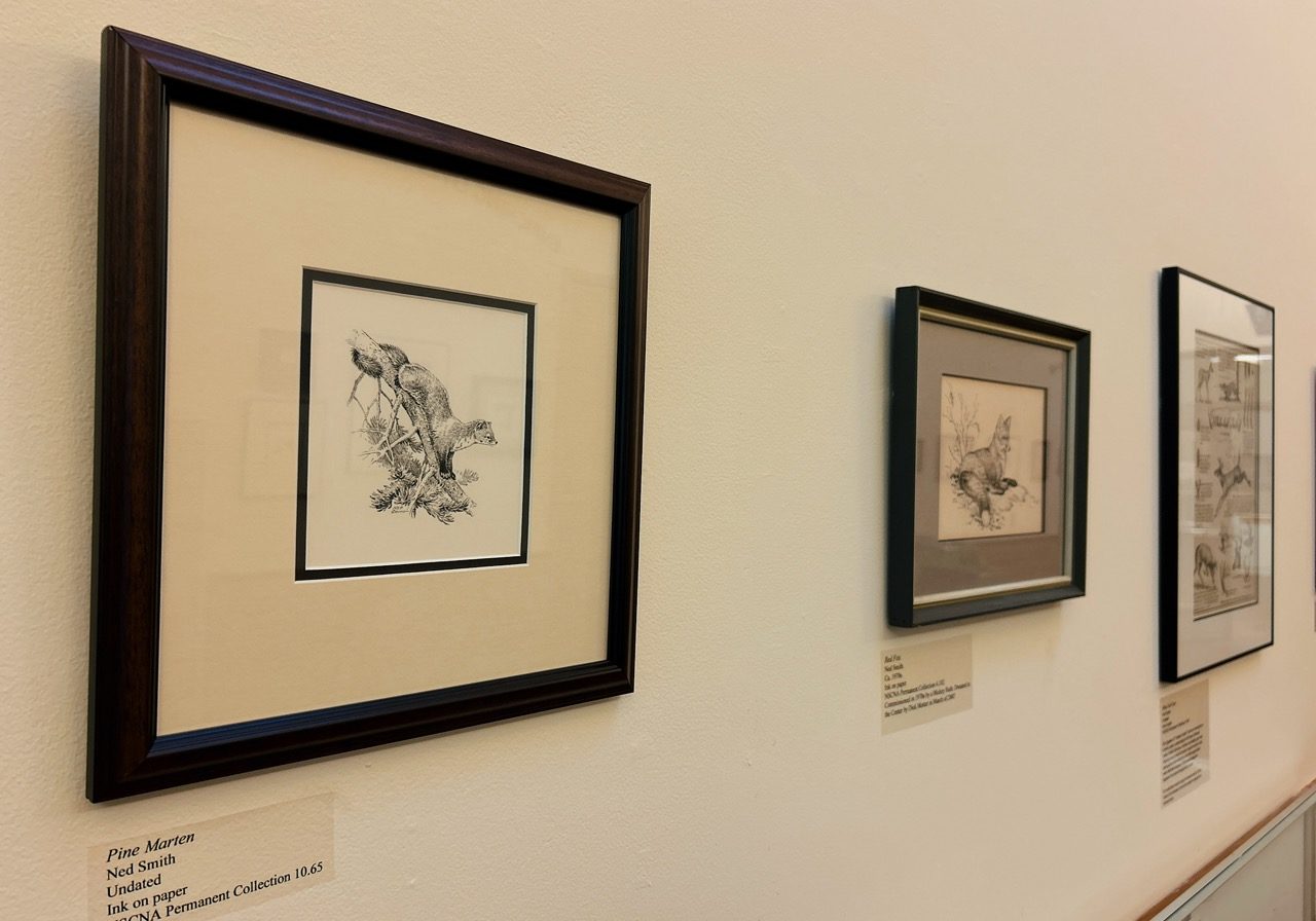 Ned Smith small black and white sketches framed and hung in our Romberger Gallery